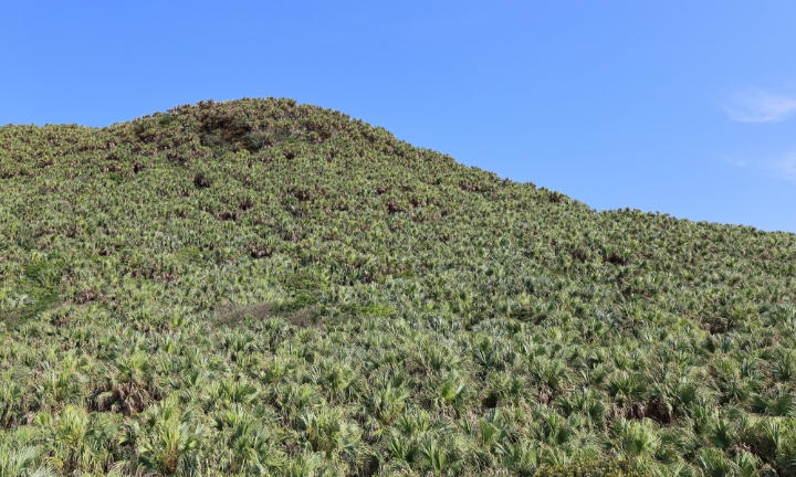 クバ山の風景